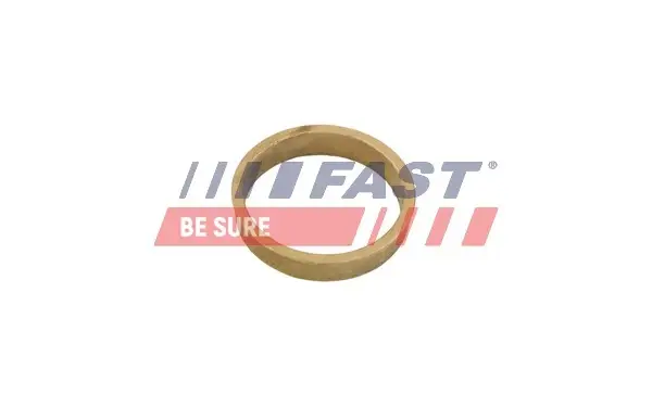 Шайба переднього амортизатора Citroen Jumper/Fiat Ducato/Peugeot Boxer (06-) Fast FAST FT14401 (фото 1)