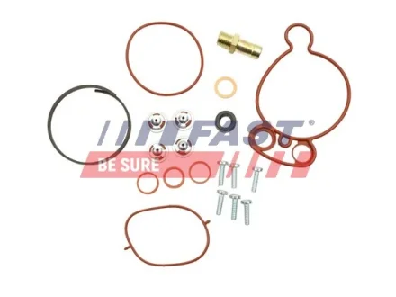 Ремкомплект вакуумного насоса тормозного VW Crafter (06-) Fast FAST FT36031