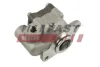 НАСОС ГІДРОПІДСИЛЮВАЧА FIAT DUCATO 06> БЕЗ КОЛЕСА 3.0 JTD EURO 5/6 FAST FT36224 (фото 1)