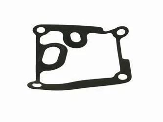 Прокладка масляного насоса Ford Connect 02 1.8Tddi/Tdci FAST FT38801