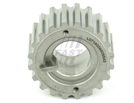 Шестерня распредвала Renault Logan, Clio II,Megane III,Kangoo 1.5dCi (04-) Fast FAST FT45604