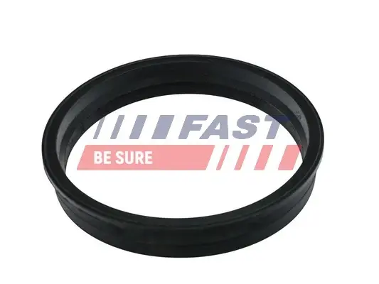 Прокладка паливного насоса C-Max/Mondeo 1.6-2.0 00-10 FAST FT48505 (фото 1)