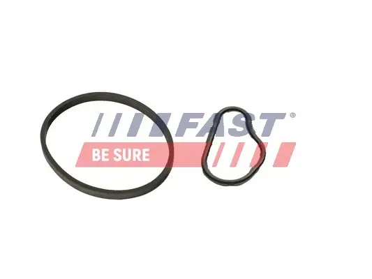 Комплект прокладок вакуумного насосу Citroen Berlingo (08-) 1.6 HDI/BLUEHDI Fast FAST FT48943 (фото 1)