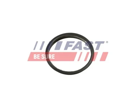 Прокладка вакуумного насоса FORD TRANSIT 13> 2.2TDCI FAST FT49853