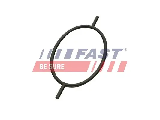 УЩІЛЬНЮЮЧЕ КІЛЬЦЕ FORD TRANSIT CONNECT 02> 1.8 TDCI 06> SERWO HAMULCOWE FAST FT49923 (фото 1)