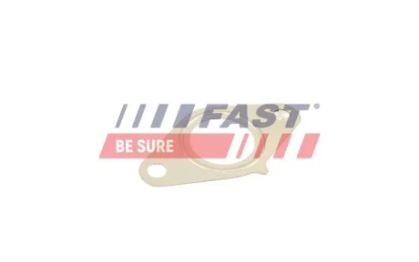 Прокладання клапану Egr Fiat Scudo / Ulysse 95 2.0 Jtd FAST FT50616