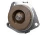 Насос водяной Fiat Bravo II, Doblo, Ducato 1.6D MultiJet, 2.0D MultiJet/Opel Astra H, J, Insignia, Zafira 1.9CDTI/2.0CDTI (04-) Fast FAST FT57153 (фото 1)