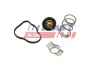 Термостат MB W176/Citan/ Renault Clio/Kangoo/Megane 1.5 D/dCI/Cdi 09- (83C) FAST FT58042 (фото 1)