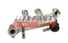 Радіатор Egr Renault Master 10 2.3 Dci FAST FT60403 (фото 1)
