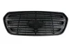 Решітка радіатора Ford Transit 14- FAST FT91654 (фото 1)