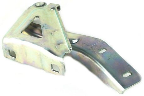 Петля капоту (R) Fiat Qubo/Peugeot Bipper 08- FAST FT94096