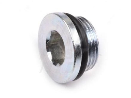 ПРОБКА МАСЛЕНОГО ПОДДОНА FIAT DUCATO 06> FAST FT94713