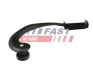 ШИНА ДВЕРКИ FIAT DOBLO 00> БІЧН ВЕРХ ЛВ FAST FT95681 (фото 1)