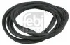 Ущільнення лобового скла FEBI BILSTEIN 06221 (фото 1)