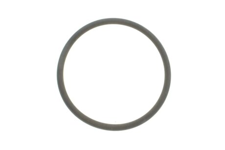 Уплотняющее кольцо FEBI BILSTEIN 100165