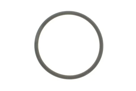 Уплотняющее кольцо FEBI BILSTEIN 100165