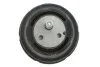 Подушка двигателя FEBI BILSTEIN 10142 (фото 3)
