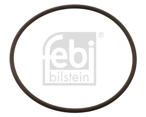 Ущільнювальне кільце FEBI BILSTEIN 104848 (фото 1)