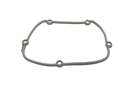 Прокладка кришки двигуна FEBI BILSTEIN 170573