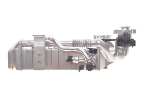 Радиатор охлаждения відпрацьованих газів FEBI BILSTEIN 182359