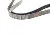 Ремень поликлиновый FEBI BILSTEIN 28929 (фото 2)