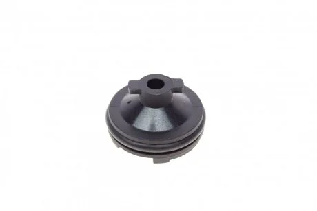 Пробка піддону FA1 Fischer Automotive One (FA1) 257.865.001