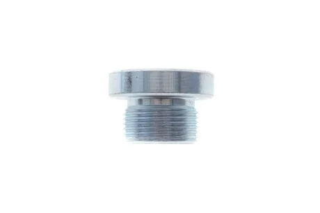 Пробка піддону Fischer Automotive One (FA1) 257.871.001