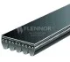 Ремень дорожный Flennor 5PK0675 (фото 1)
