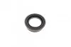 Ремкомплект суппорта заднего Audi A4/A6/VW Golf 3/Polo 3/Sharan/Vento (d=38mm)(Lucas/TRW)(+поршень/направляющие) Frenkit FRENKIT 738903 (фото 2)