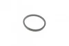Ремкомплект суппорта с поршнем FRENKIT 742199 (фото 4)