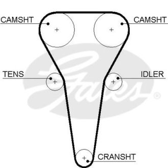Ремень ГРМ с длиной круга более 60 см, но не более 150см Gates 5567XS