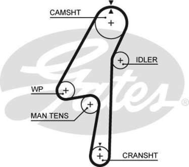 Ремень ГРМ Gates 5580XS (фото 1)