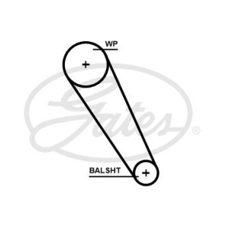 Ремень ГРМ (дл. 60-150) Gates 5698XS