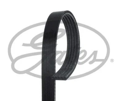 Ремень Gates 5PK955