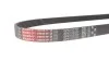 Ремень поликлиновый(приводной) Gates 6PK1027SF (фото 4)