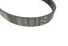 Ремень поликлиновый(приводной) Gates 6PK1175 (фото 2)