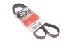 Ремень поликлиновый(приводной) Gates 6PK1228 (фото 1)