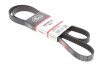 Ремень Gates 6PK1595 (фото 2)