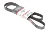 Ремень Gates 6PK1595 (фото 2)