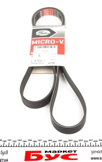 Ремень поликлиновый(приводной) Gates 6PK1650