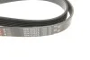 Ремень генератора клиновый GATES Gates 6PK1830XS (фото 4)