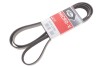 Ремень поликлиновый(приводной) Gates 6PK2280 (фото 2)