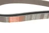 Ремень генератора клиновый GATES Gates 6PK2305 (фото 4)