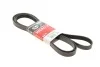 Ремень поликлиновый(приводной) Gates 6PK2585 (фото 2)