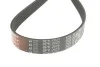 Ремень поликлиновый(приводной) Gates 6PK2625 (фото 2)