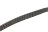 Ремень Gates 6PK691-683SF (фото 3)
