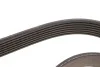 Ремень Gates 7PK1600 (фото 3)