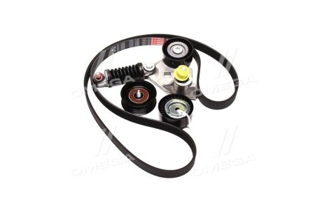 Комплект поликлинового ремня Gates K036PK1640 (фото 1)