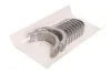 Вкладыши Glyco H1104/5 0.50MM (фото 1)