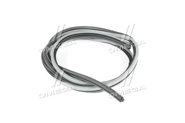 Ущільнювач дверей LACETTI GM 96615176 (фото 1)